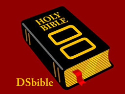 DSbible Bible for Nintendo DS